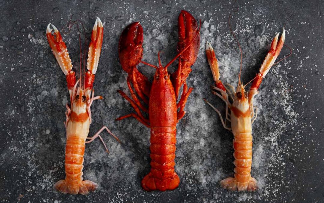 Mejores meses para comer marisco.