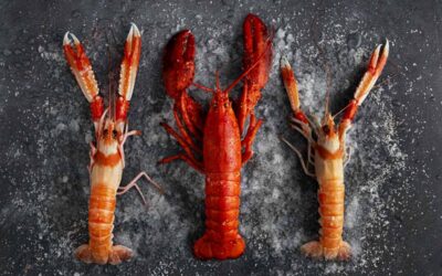 Mejores meses para comer marisco.