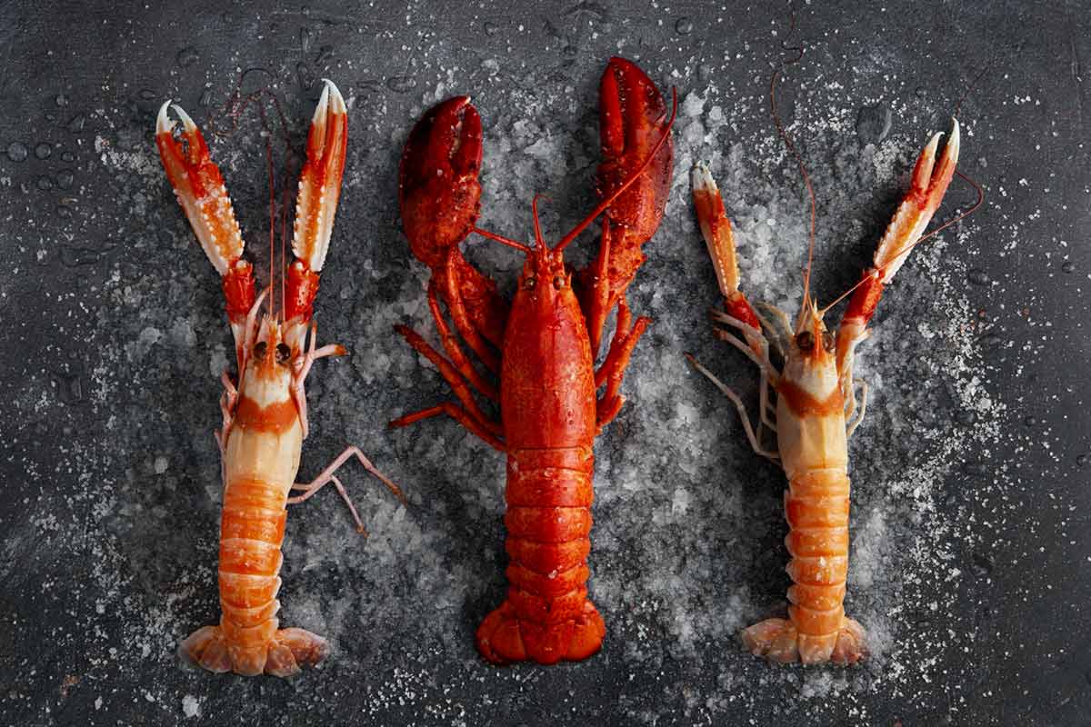 mejores-meses-marisco