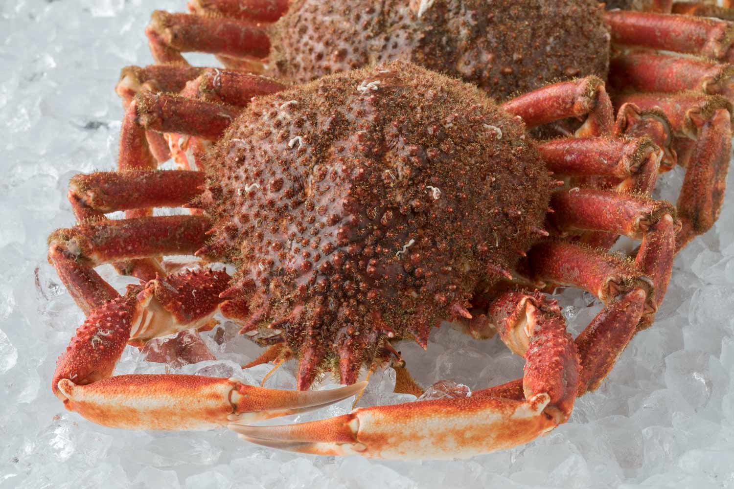 cocina-vasca-restaurante-ongi-etorri-eibar